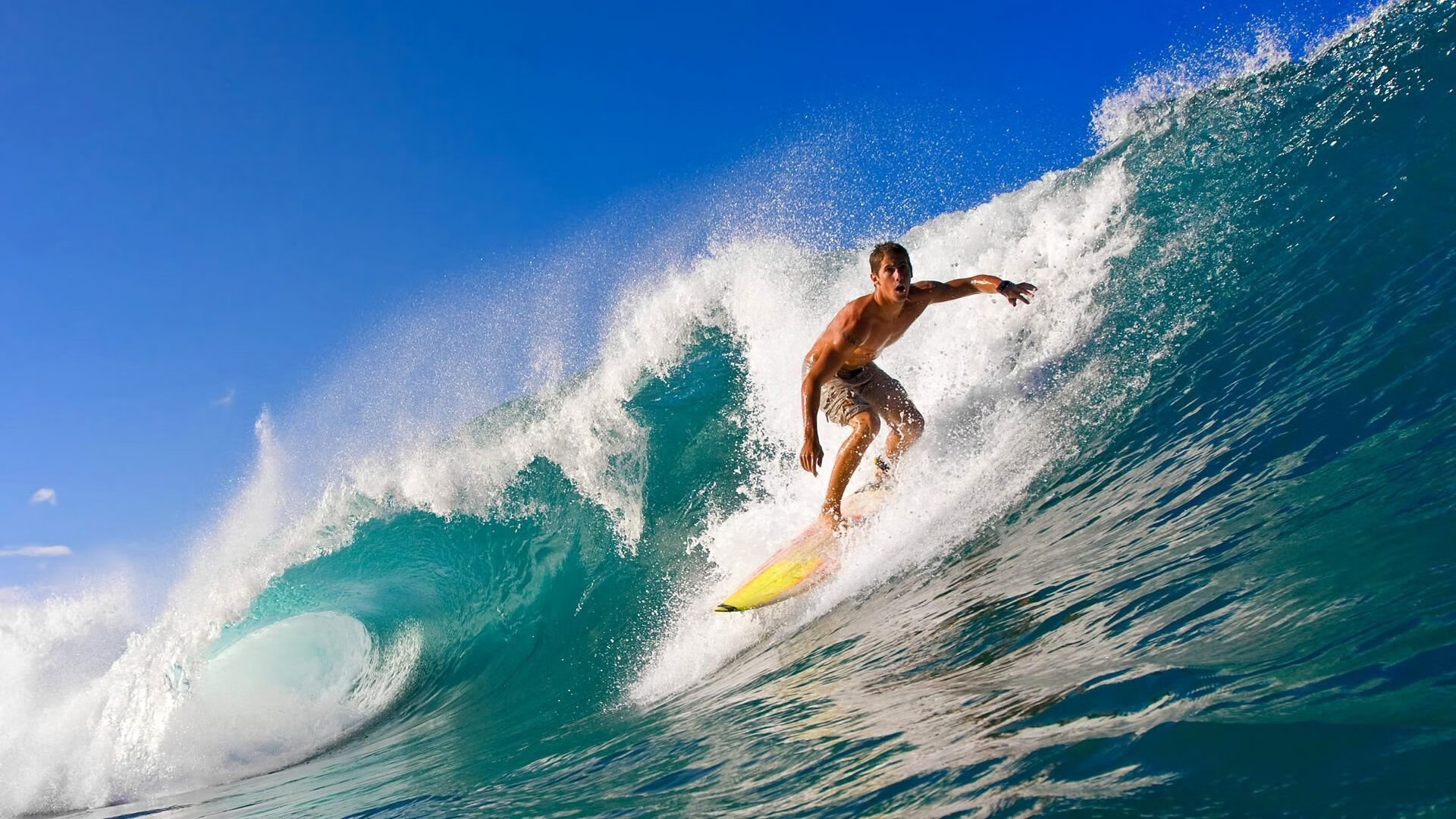 全国游泳俱乐部联赛多城区队表现突出，中国游泳俱乐部排名